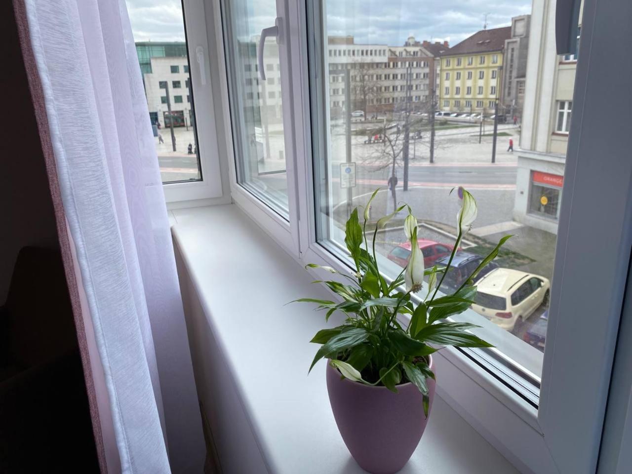 Perla Hradce 202 Apartment Hradec Kralove Bagian luar foto